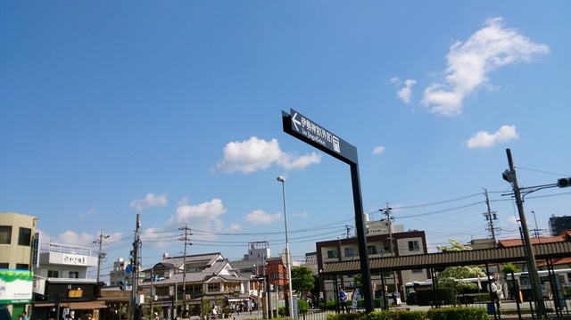 DSC_0116.jpg